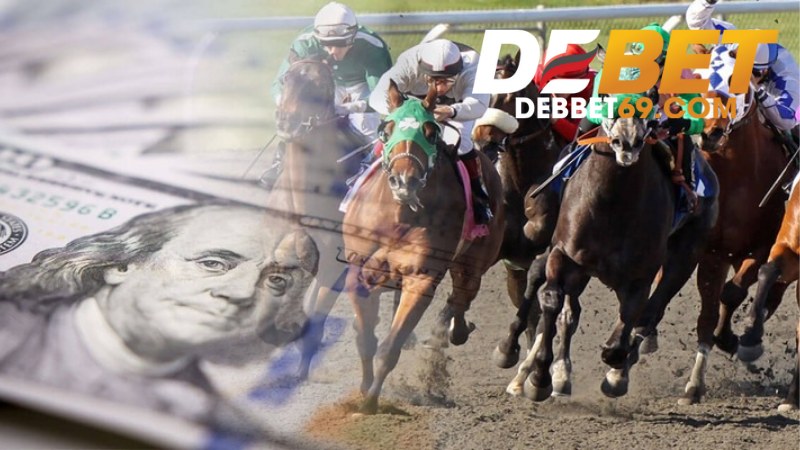 Cá Cược Đua Ngựa Debet